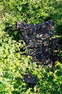 Nature photographer in camouflage at work, camouflage net in a dense bush surrounded by green