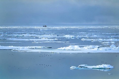 Ship traveling at the horizon at Arctic Ocean among melting ice floes in low light at a summer