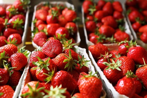 Fresh strawberries in the shop
