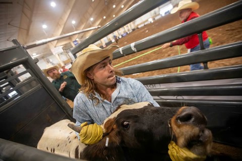 Oklahoma City, Oklahoma, The Great Plains Rodeo, an annual gay rodeo that features traditional