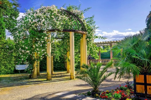 Pavilion with climbing roses in the spa gardens, spa town of Bad Pyrmont, Lower Saxony state spa,