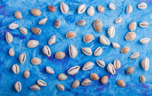 Various seashells pattern on a blue concrete background, top view, flat lay