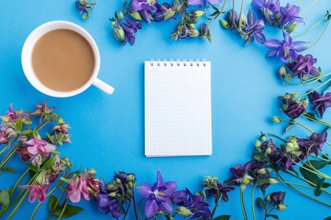 Pink and purple columbine flowers and a cup of coffee with notebook on pastel blue background.