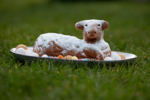 A cake dusted with icing sugar shows an Easter lamb surrounded by eggs on a plate, Germany, Europe