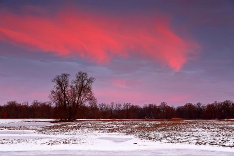 Winter floods 2024 on the Elbe and Mulde rivers with flooding of the meadows, ice on the meadows