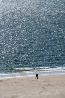 Strollers on the beach near Zoutelande Province of Zeeland, Walcheren Peninsula, Netherlands
