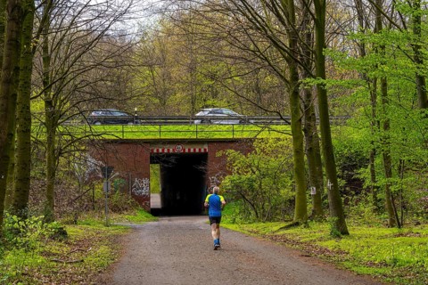 The Sterkrader Wald in Oberhausen, at the Oberhausen motorway junction, where the A2/A3A/A516 meet,