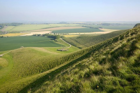 Summer view arable fields chalk landscape from Cherhill Down escarpment, Wiltshire, England, UK
