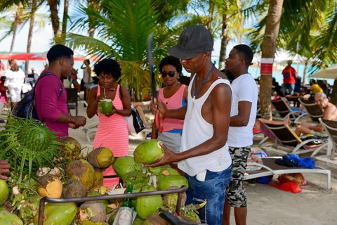 People buying fresh coconuts on a busy beach under palm trees, Boca Chica, Santo Domingo Province,