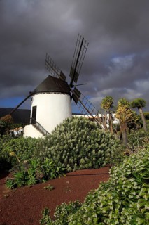 Windmill and garden at Centro de Artesania Molinos de Antigua, Fuerteventura, Canary Islands,