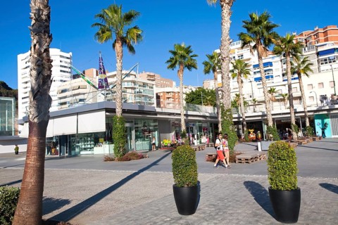 Palm trees cast shadows in new port development Muelle Uno in Malaga, Spain, Europe