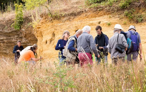 Geology fieldtrip at Sutton Knoll SSSI, Rockhall Wood Pit, Sutton, Suffolk, England, UK