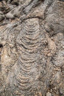 Solidified pahoehoe or ropey lava field, Tahiche, Lanzarote, Canary Islands, Spain, Europe