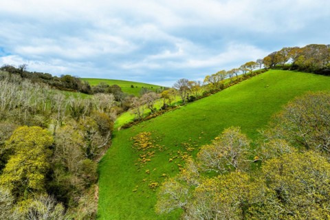 Forest, Farms and Farms over Long Wood and River Dart from a drone, Dartmouth, Kingswear, Devon,
