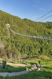 Blackforestline near Todtnau, Black Forest, Baden-Württemberg, Germany, Todtnau, Baden-Württemberg,