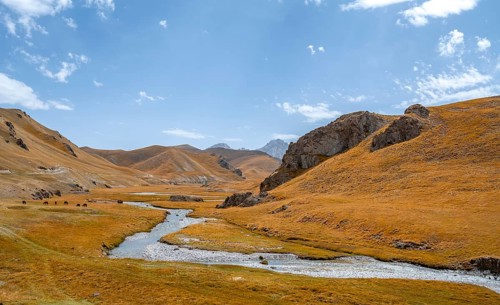 River Kol Suu winds through a mountain valley with hills of yellow grass, Naryn Province,