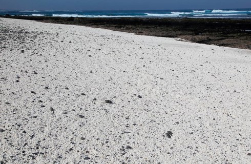 Beach of white crushed coral, near Corralejo on north coast of Fuerteventura, Canary Islands,