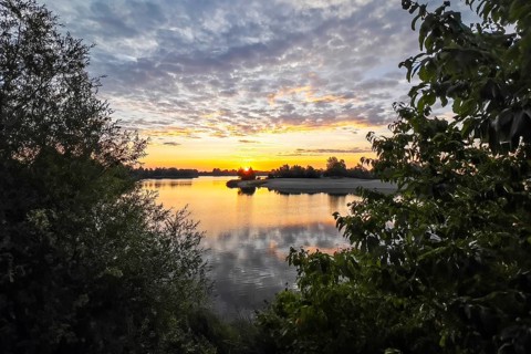 Foggy mood, sunrise on the Elbe, biotope, habitat, Elbe meadows, floodplain landscape, river