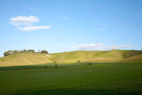 Scarp slope of White Horse on Cherhill Down and Lansdowne monument, Cherhill, Wiltshire, England,