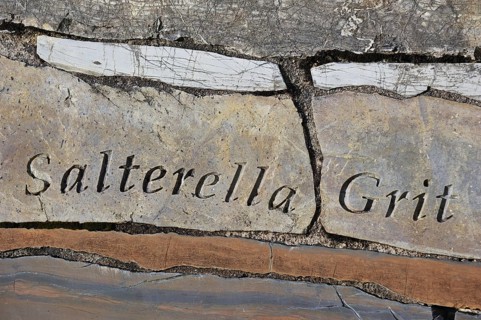 Salterella grit rock fragment, part of the Knockan Puzzle at the Knockan Crag National Nature