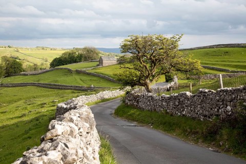Old barn and dry stonewalls, Malham, Yorkshire Dales national park, England, UK
