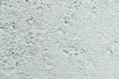 Leaves and grass covered with hoarfrost. Abstract floral background, garden and winter concept.