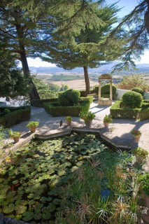 Pond plants trees in garden Casa del Rey Moro, Ronda, Spain, Europe