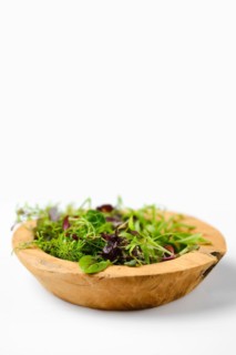 Wooden bowl with different microgreens on white background