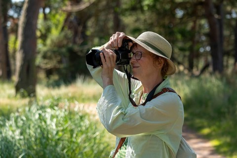 Woman taking photos, trees, circular hiking trail, Darßer Ort, Born a. Darß, Mecklenburg-Western