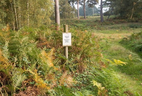 Private Track No Public right of way sign notice on heathland, Sutton, Suffolk, England, UK
