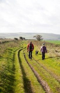 The Ridgeway long distance footpath dating from prehistory near its start on Overton Hill,