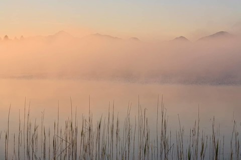 Foggy mood, lake, mountain landscape, peace, silence, morning light, summer, Staffelsee, Murnau,