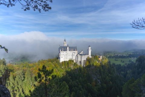 Neuschwanstein Castle near Hohenschwangau, Romantic Road, Ostallgäu, Bavaria, Germany, Europe