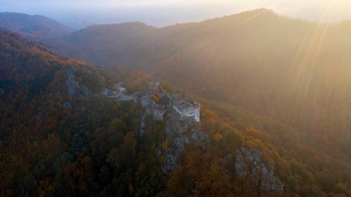 Aggstein castle ruins at sunrise, Schönbühel-Aggstein, Wachau, Lower Austria, Austria, Europe