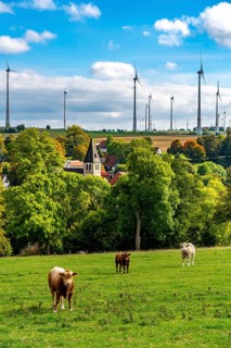 Wind farm near Lichtenau, Iggenhausen district, St. Alexander parish church, wind turbines, North