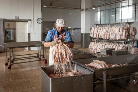 Production of salted ducks factory Nan Jing Ying Tao Yo Co. Ltd., for consumption in restaurants