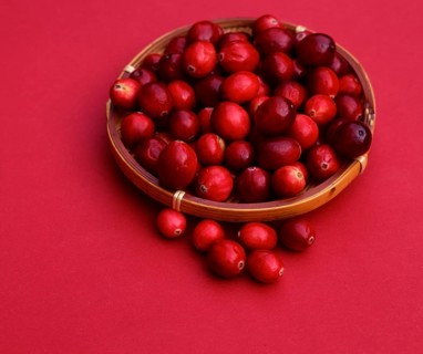 Bowl with Lingonberries (Vaccinium vitis-idaea)
