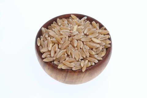 Khorasan wheat (Triticum turgidum × polonicum), also called kamut, is an old variety of spring
