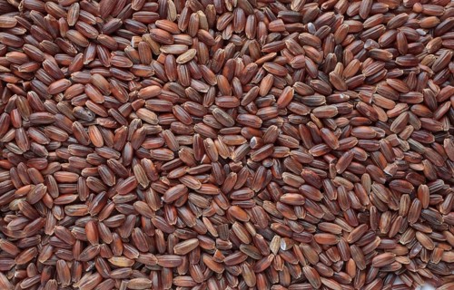 Red rice, Camargue rice from France, rice variety with a red bran layer, usually offered as brown