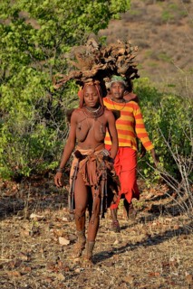 Himba women gathering wood, Ombombo, Kaokoland, Kunene, Namibia, Africa