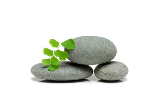 Stacked stones and leaf of lady's hair fern, cutout, object
