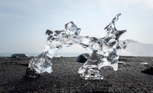 Ice, piece of ice on black sand beach, on black lava beach Diamond Beach, Southeast Iceland,