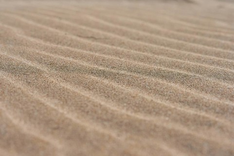 Sand drifts on the beach "Platja del Fangar", coast, nature reserve, ebro delta, Catalonia, Spain,