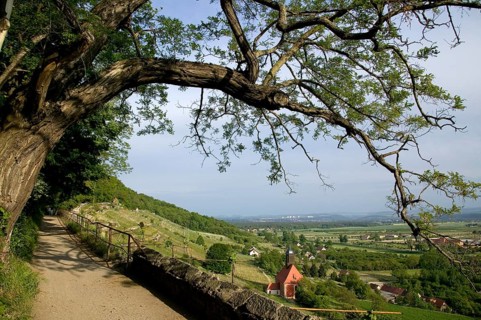 Vineyard church and wine trail