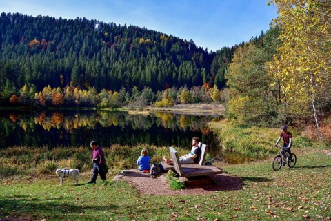 Hikers at Lake Sankenbach, Karsee, autumn, near Baiersbronn, Freudenstadt district, Black Forest,