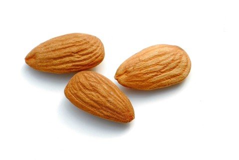 Almond (Prunus dulcis)