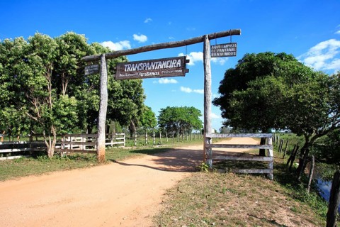 Gate to the Transpantaneira, Pantanal, Brazil, South America