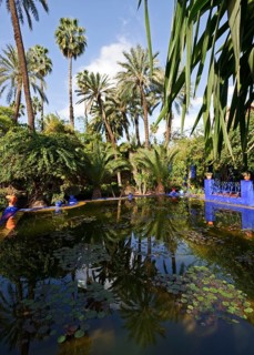 Morocco, Jardin Majorelle Botanical Garden in Marrakech, Africa