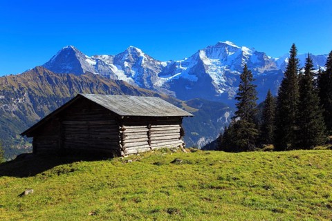 Lauterbrunnen Valley, Eiger, 3970 m, Mönch, 4107 m, and Jungfrau, 4158 m, view from Sulwald,