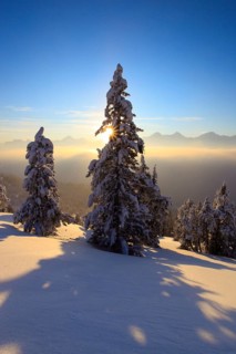 Bernese Alps, View from the Niederhorn, Bernese Oberland, Switzerland, Europe